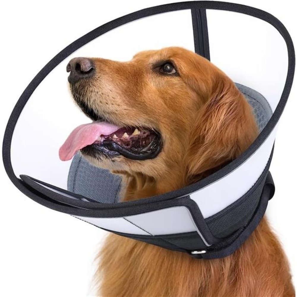 Dog Cone for Dogs After Surgery, Soft Dog Recovery Cone, Breathable (Large Dog)